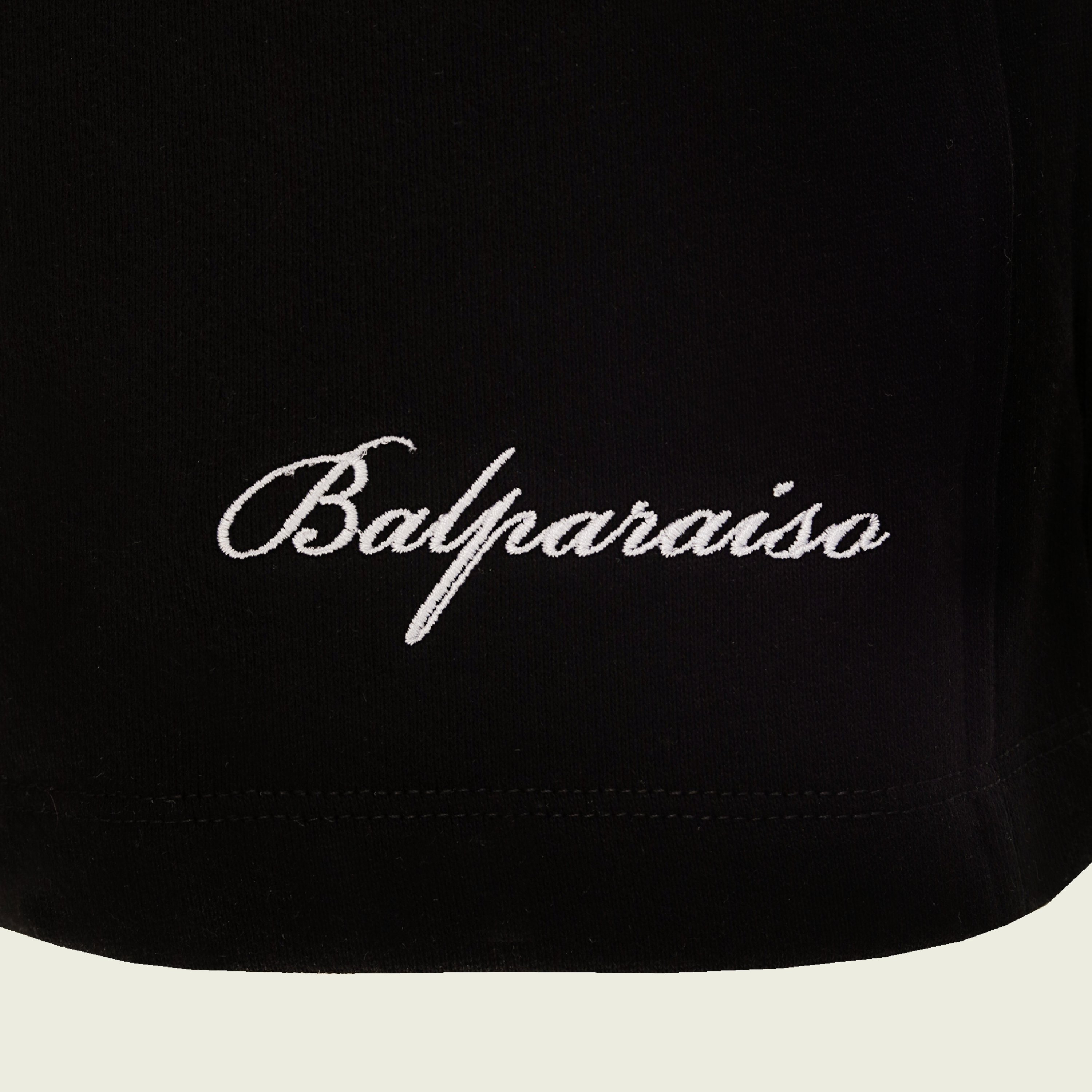 SHORT DIPLOMATIC SIGNATURE